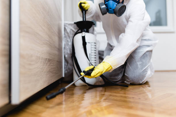 Best Termite Control Services  in Ottumwa, IA