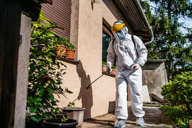 Best Mosquito Control Services  in Ottumwa, IA