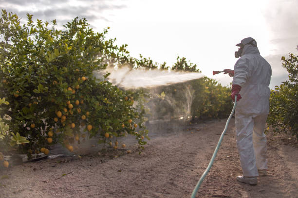 Reliable Ottumwa, IA Pest Control Solutions