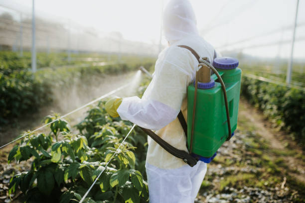 Flea Control Services in Ottumwa, IA